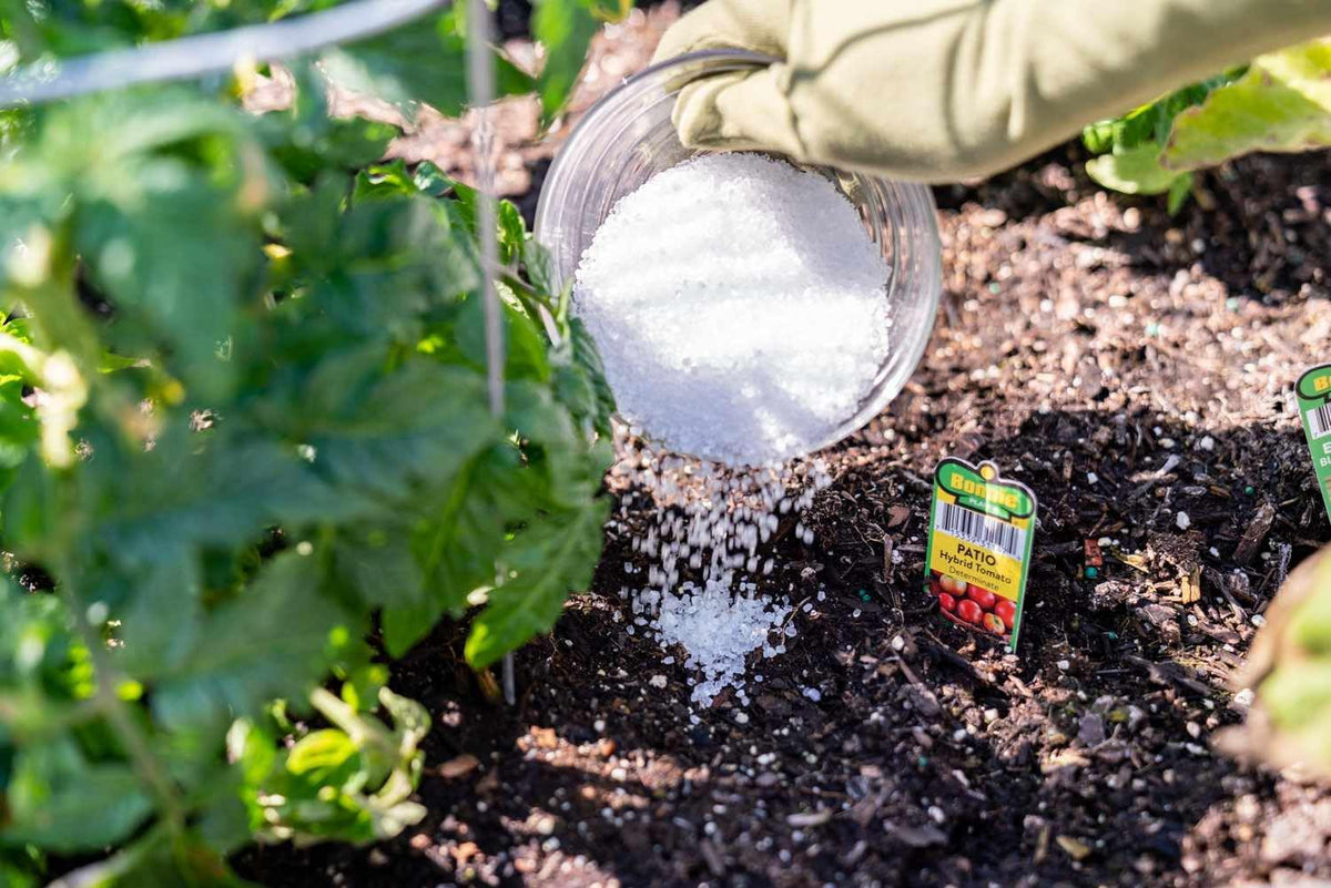 Epsom Salt for Plants