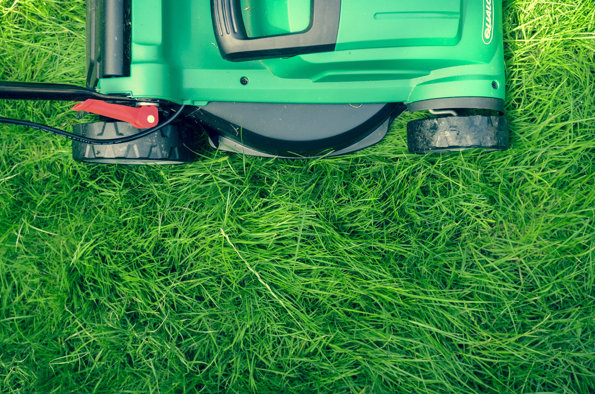 Epsom Salt For Lawns