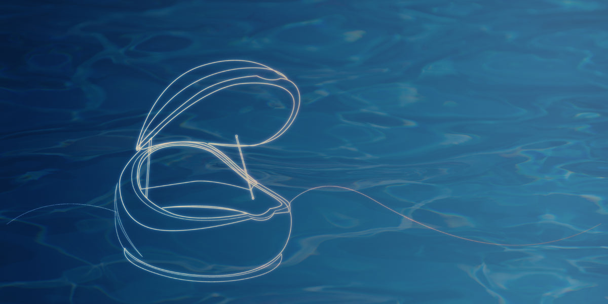 EPSOAK®